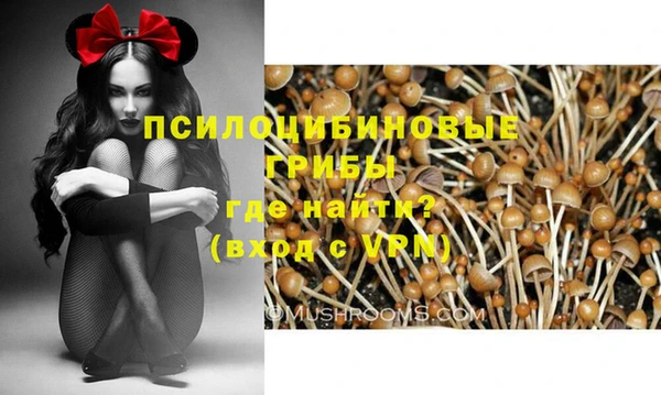 ALPHA PVP Михайловск