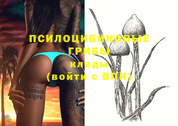 MDMA Михайловка