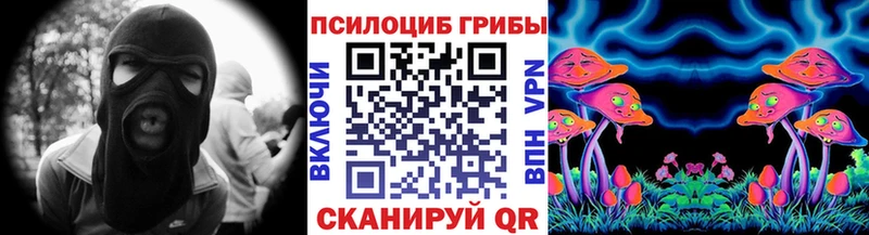 Псилоцибиновые грибы Psilocybe Купить Ликино-Дулёво