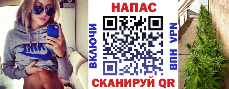 Конопля сатива  Купить где  Ликино-Дулёво 